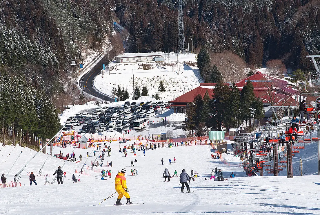 いぶきの里スキー場でスキーを楽しむ