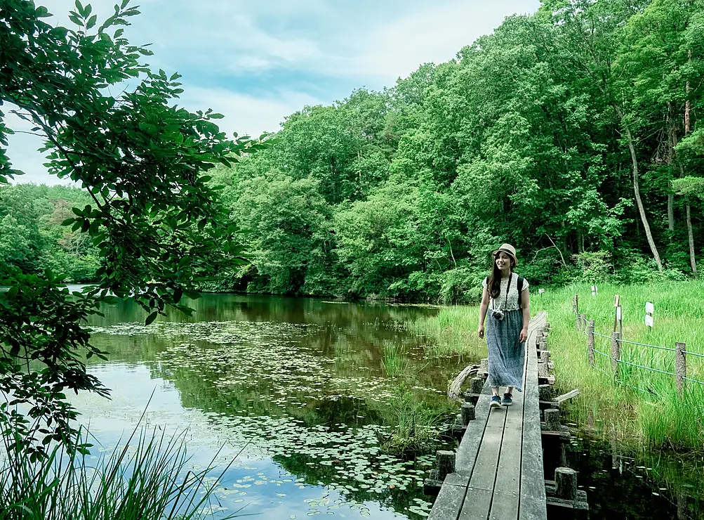 鯉が窪湿原 を散策