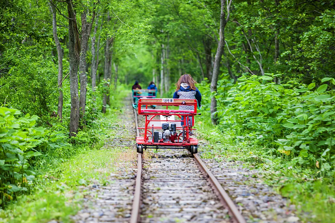 緑の中を走る赤いトロッコ