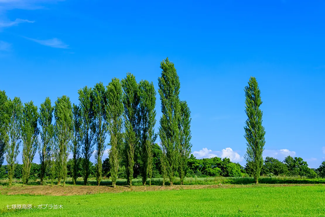 青空の高原風景