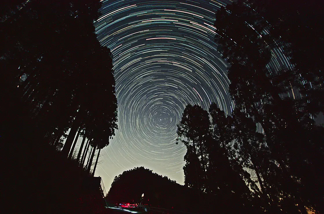 針葉樹の木々の切れ間から見える星空