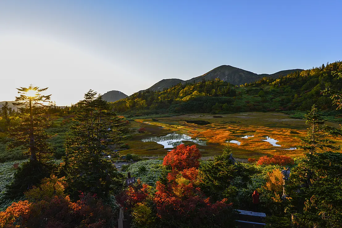 朝日に染まる湿原