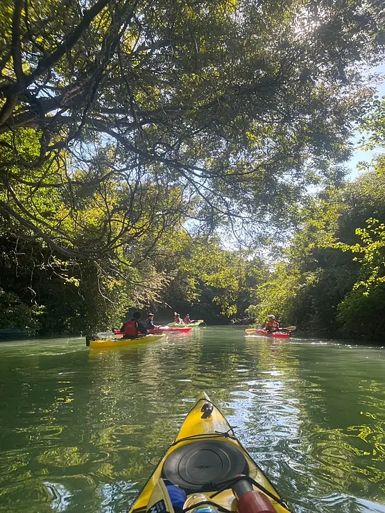 祓川をカヤックで漕ぐ