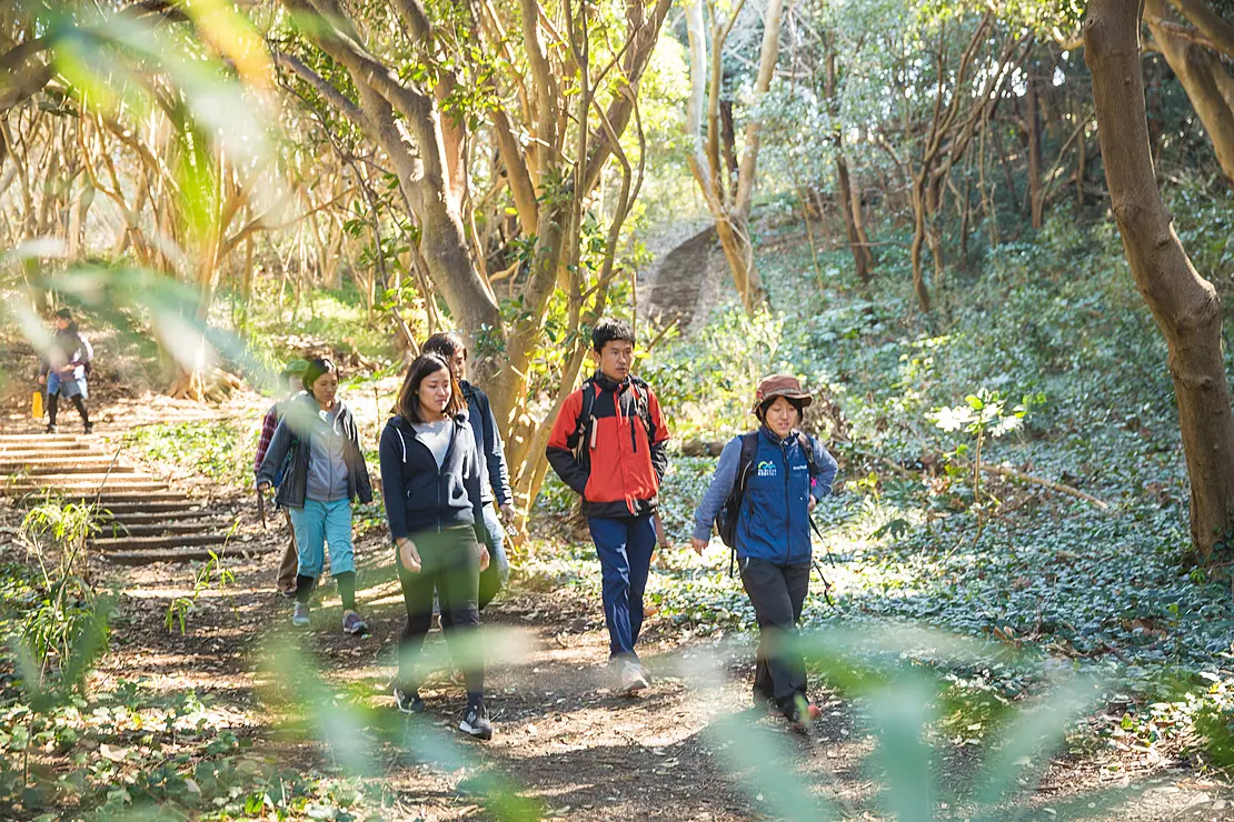 ハイキングを楽しむ様子