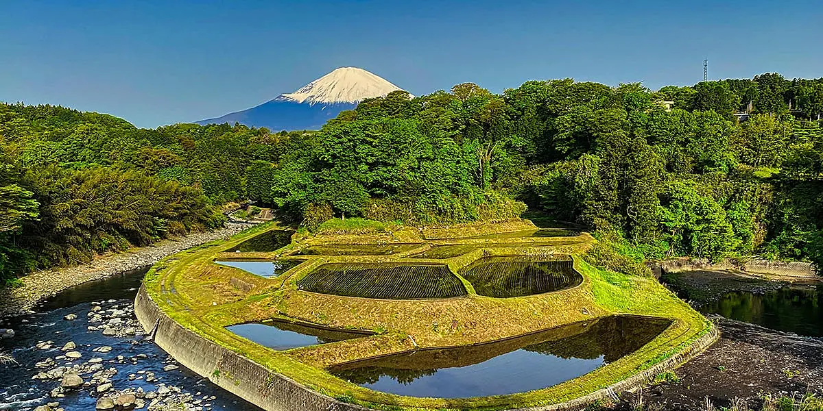 棚田と富士山