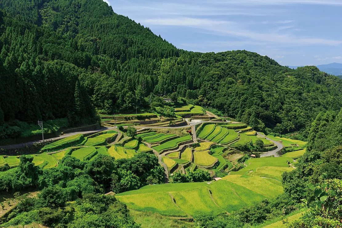 つづら棚田