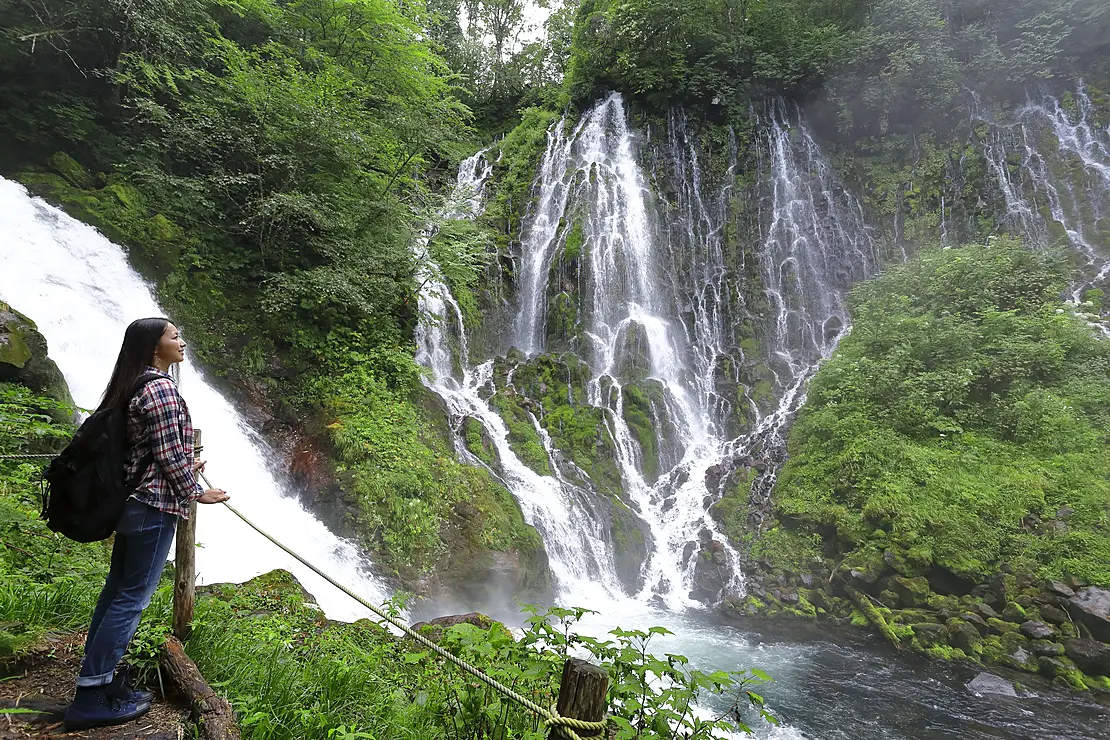 五色ヶ原の森（高山市）
