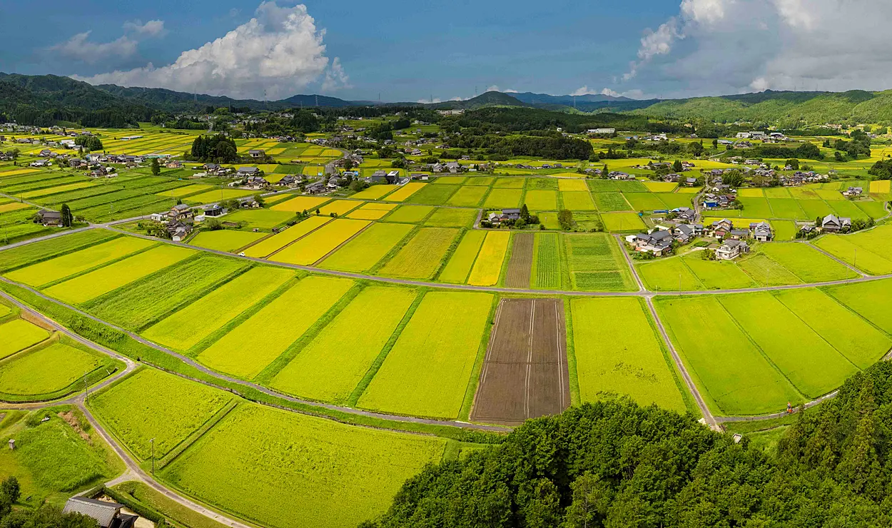 農村景観日本一地区（恵那市）