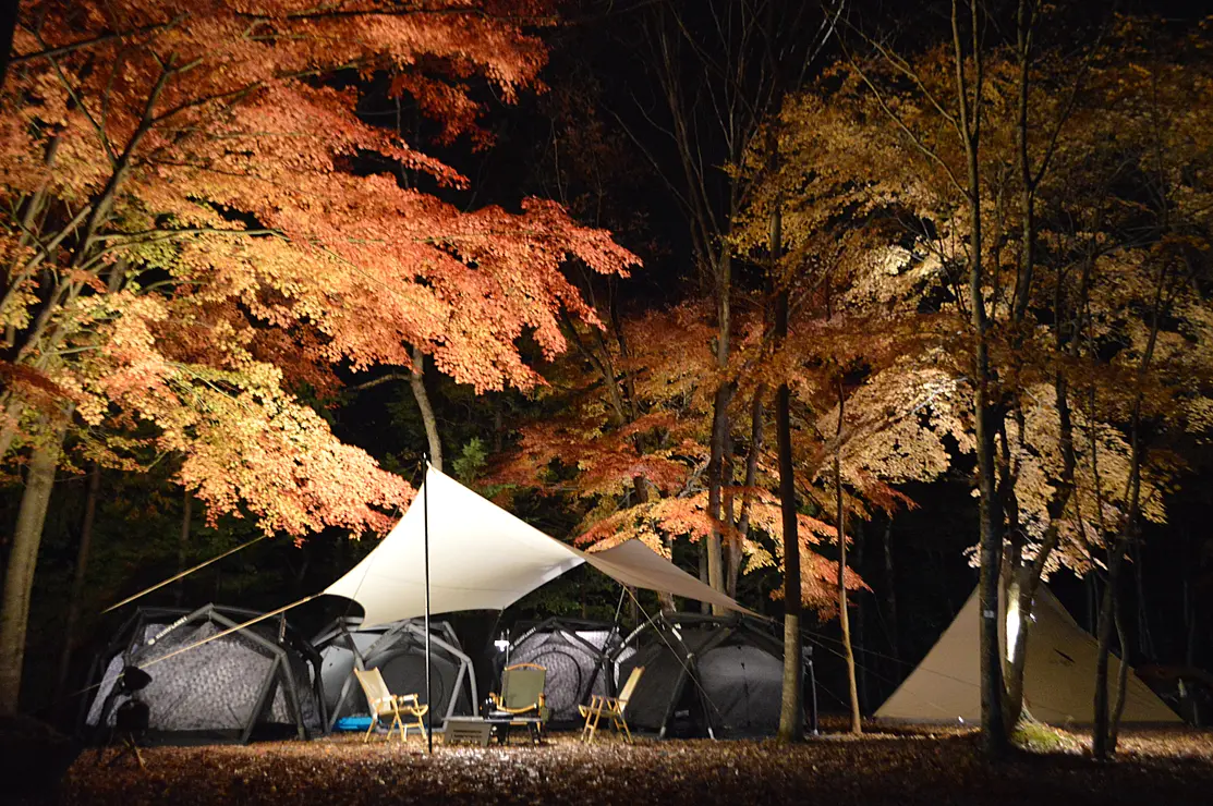 紅葉がライトアップされたキャンプ場