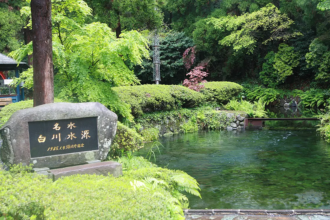 緑豊かな森の中にある白川水源の湧き水と、岩に刻まれた「名水 白川水源」の文字
