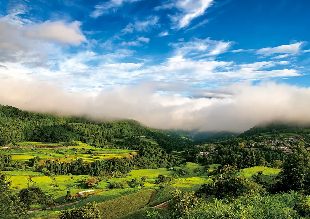 土佐れいほくの里山風景が広がる