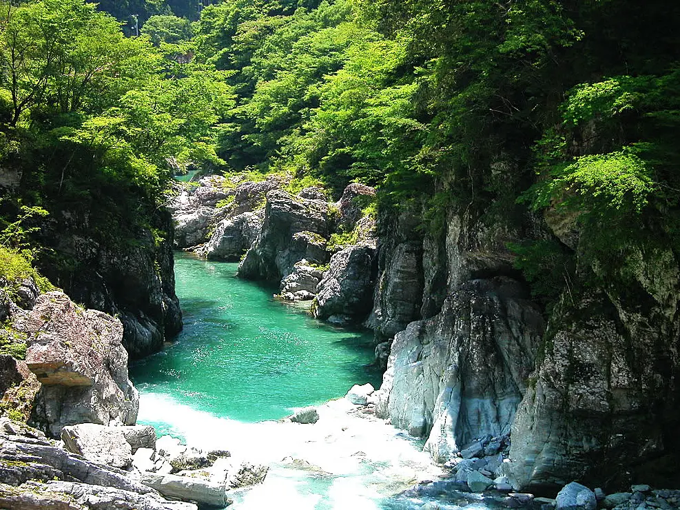 新緑の渓谷に清流が流れている