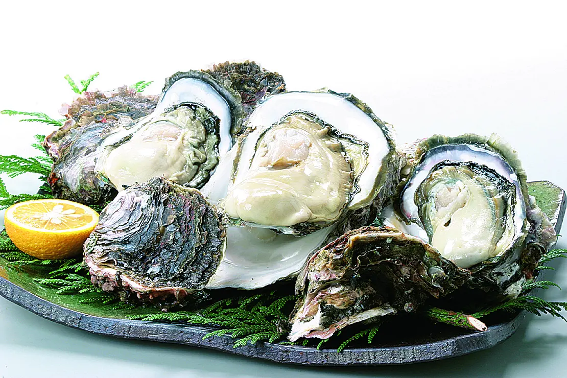 皿に盛られたカキ