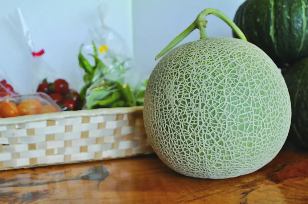 テーブルに置かれたメロン