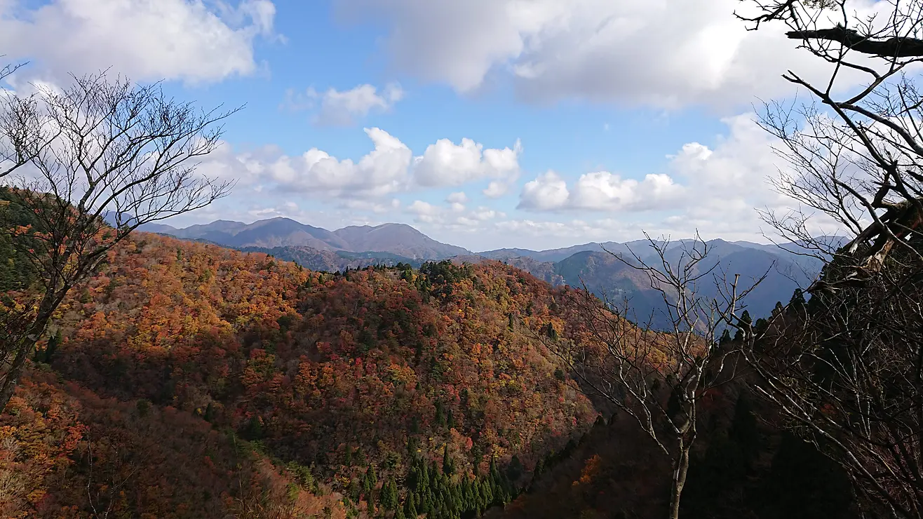 遠くまで望める紅葉の山脈