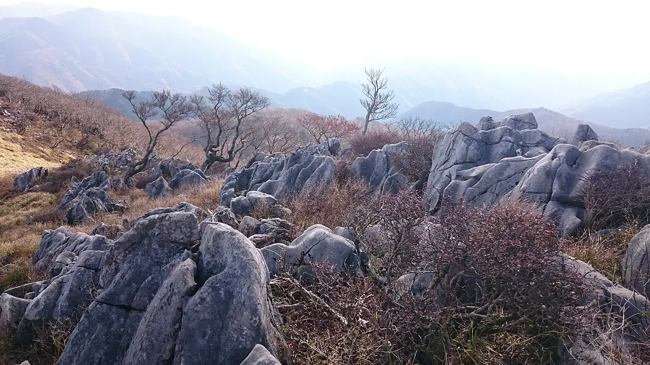 石灰岩の浸食による石塔地形