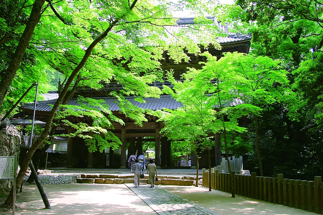 永源寺の山門と境内