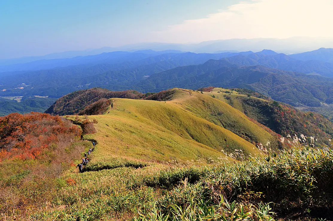 紅葉シーズンの下蒜山登山道