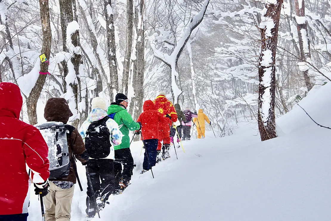 雪の積もった森の中をスノーシューであるく人たち