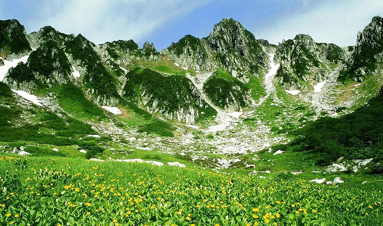 千畳敷カールと高山植物の花畑