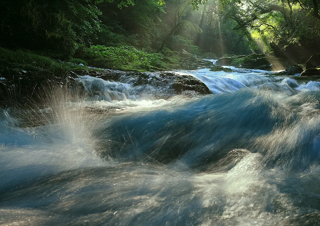 木々の間から光が差し込む、熊本県菊池渓谷の美しい渓流