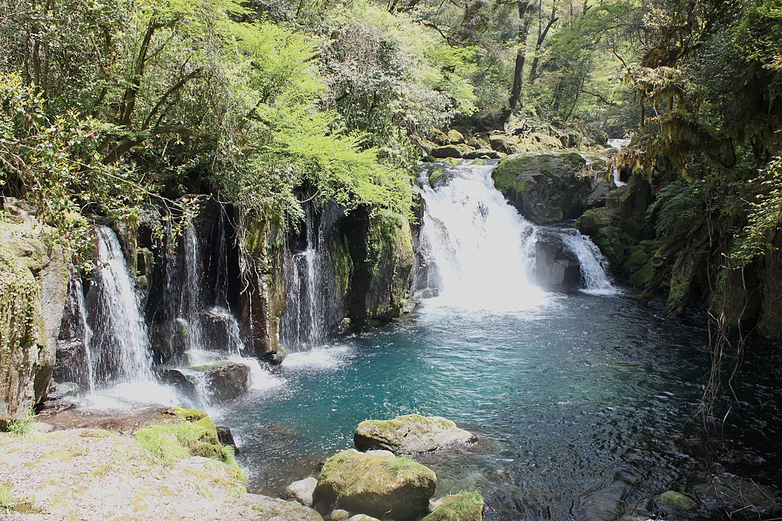 熊本県菊池渓谷の自然豊かな風景。鬱蒼とした広葉樹林に囲まれた清流が、複数の滝となって岩の間を流れ落ち、美しいコバルトブルーの滝壺に注ぎ込んでいる様子