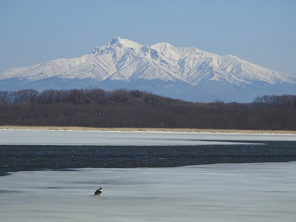 雪の被った山とオオワシ