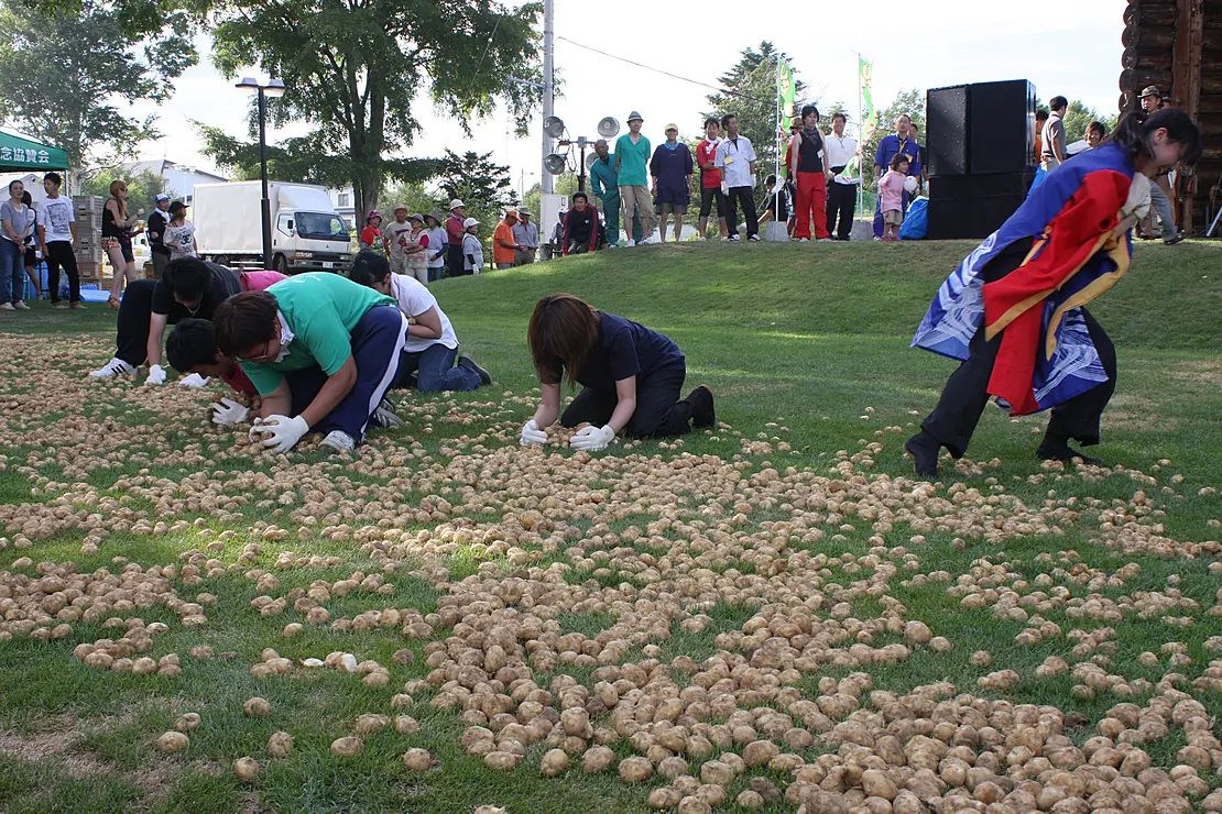 じゃがいもを拾う人々
