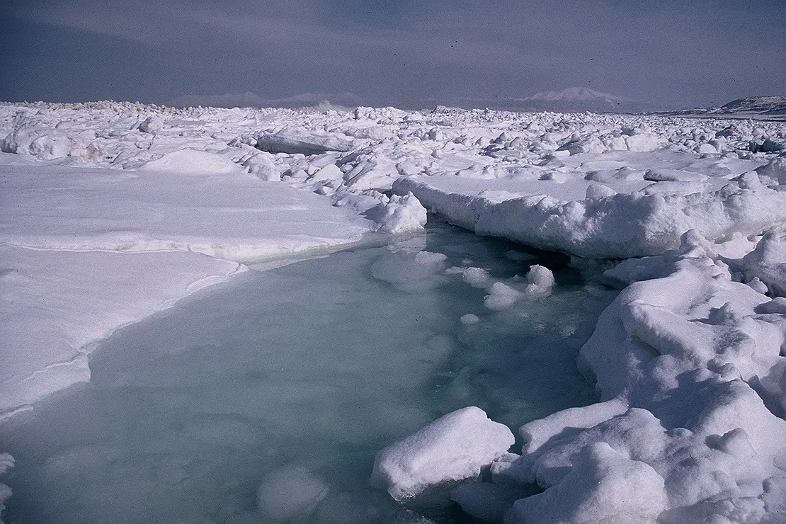 流氷