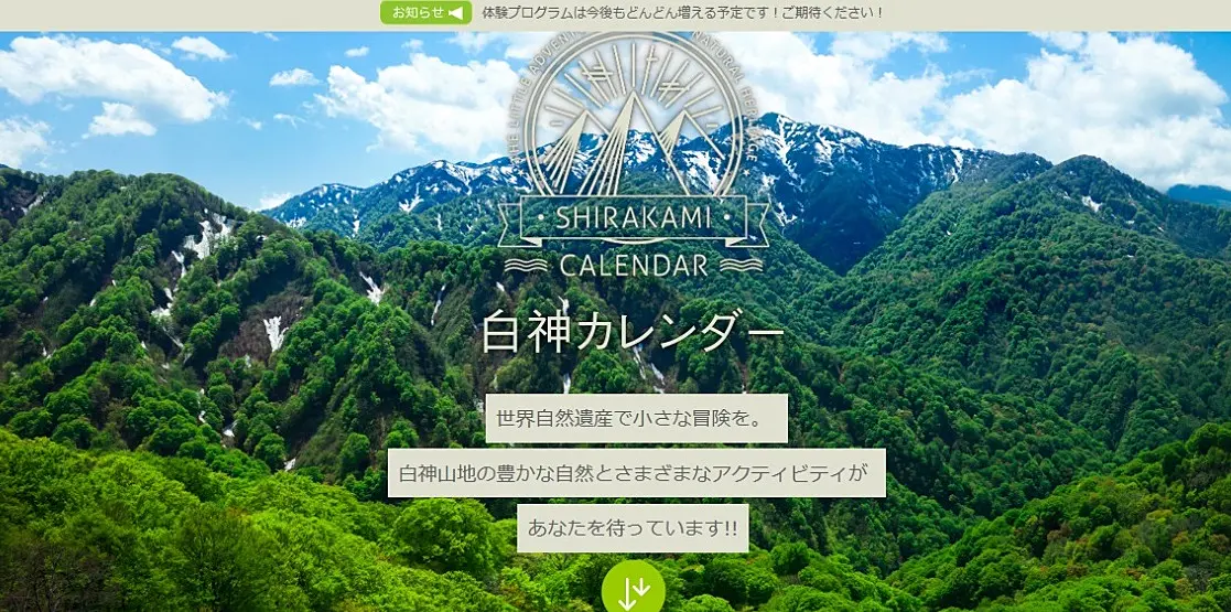 森林を背景にしたウェブサイト