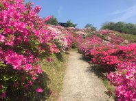 フレンドエリア 島根県の詳細へ