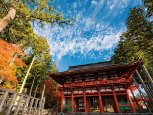 フレンドエリア 高野山の詳細へ