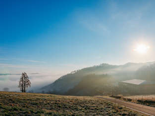 フレンドタウン 新見市の詳細へ