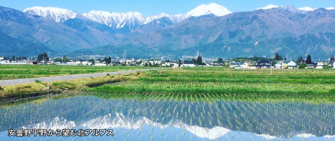 イメージ画像