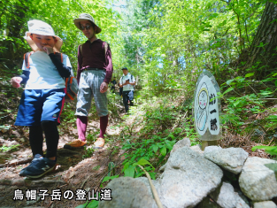 イメージ画像