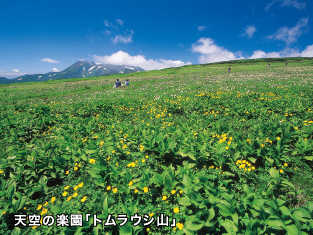 イメージ画像