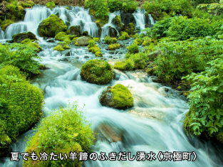 イメージ画像
