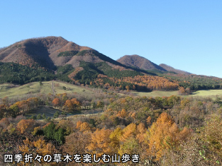 イメージ画像
