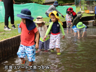 イメージ画像