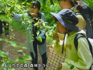 イメージ画像