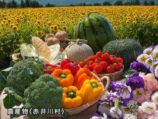 イメージ画像