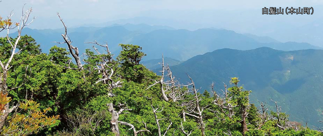 フレンドエリア 土佐れいほく モンベル フレンドエリア 土佐れいほく モンベル