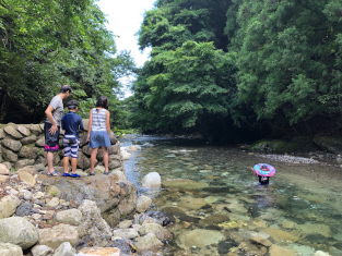 イメージ画像