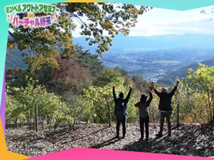イメージ画像