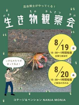 イメージ画像