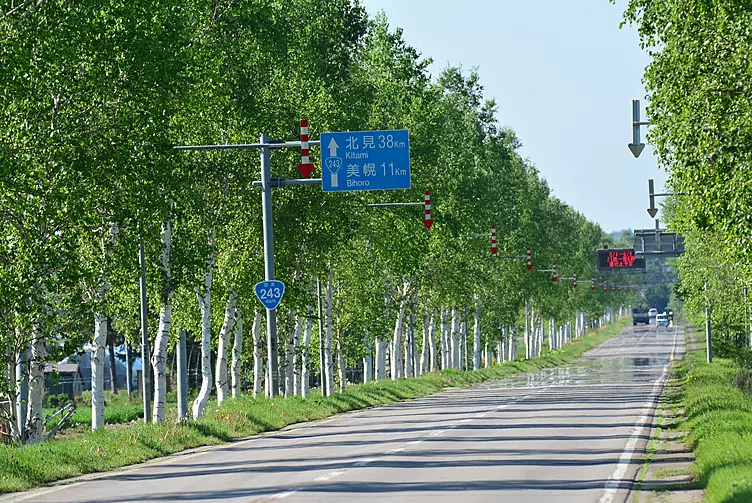 北見・美幌方面への道路標識と並木道