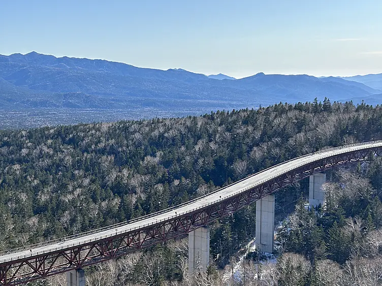 樹海にかかる橋