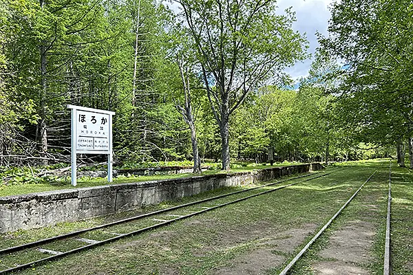 森の中の駅のホーム