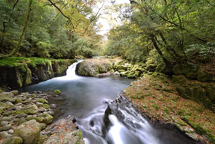 紅葉の菊池渓谷