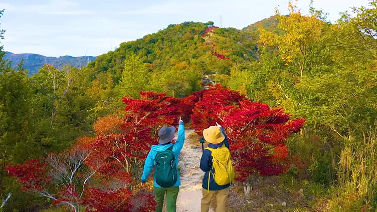 道沿いにドウダンツツジが紅葉した登山道を男女2人が指さしている